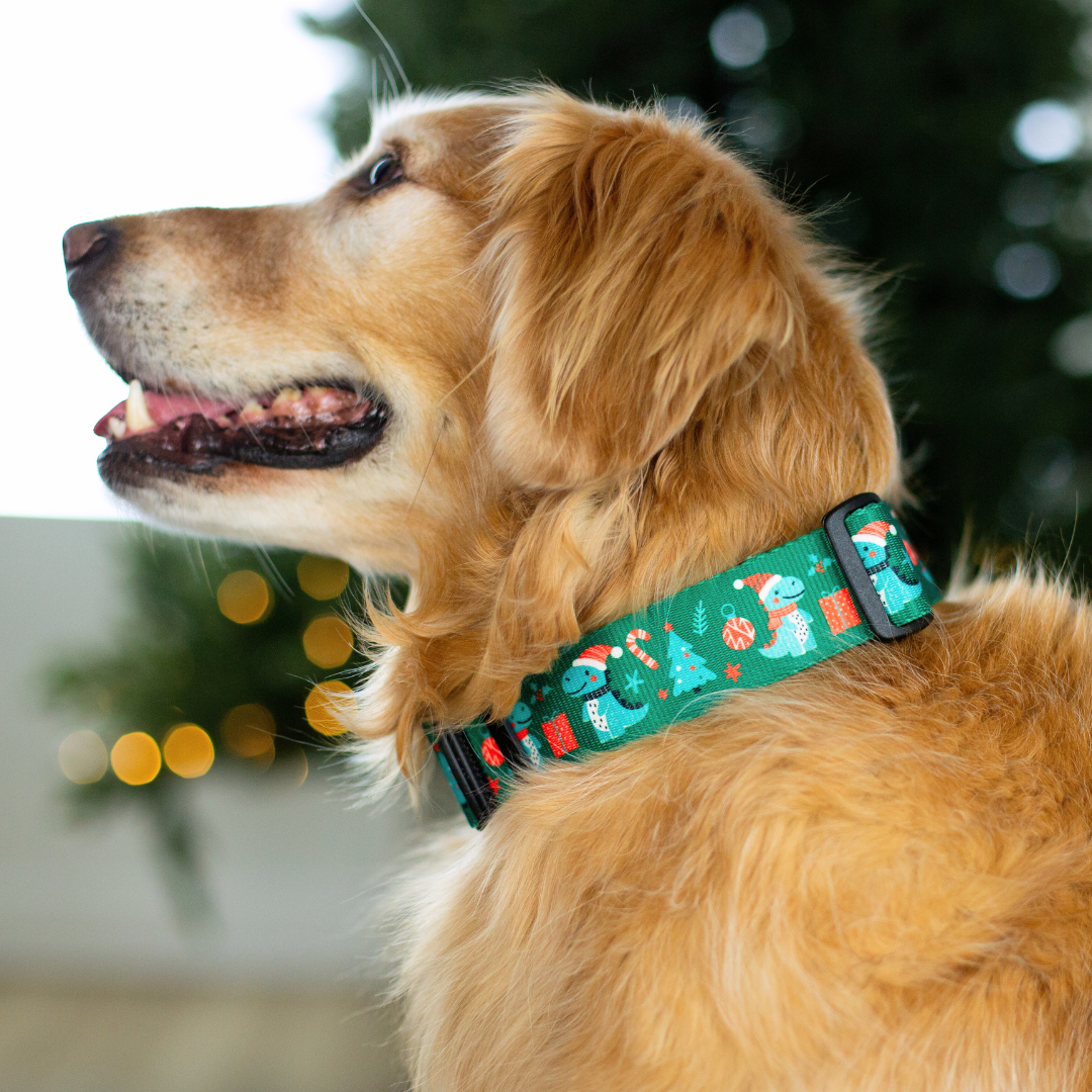 Christmas Dino Holiday Rust Proof Dog Collar