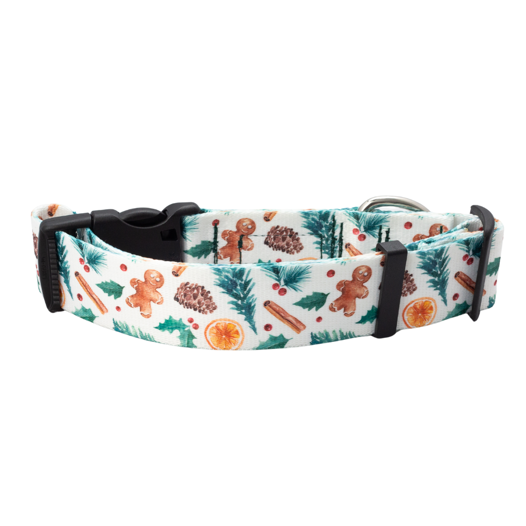 Winter Spice Rust Proof Dog Collar