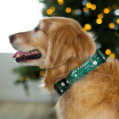 Under The Mistletoe Rust Proof Dog Collar (Evergreen)