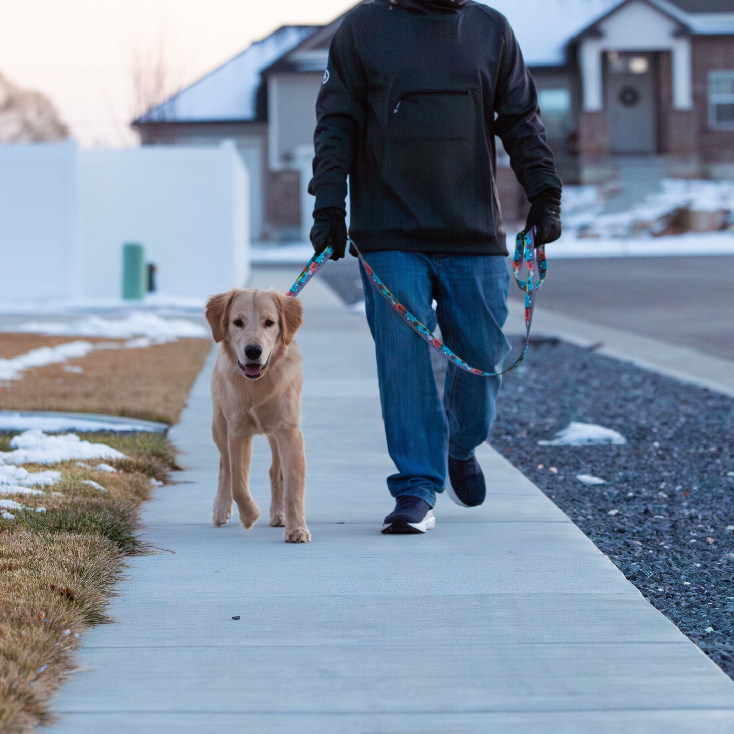 The Great National Parks Dog Leash with Traffic Handle - 6 Ft Rust Proof Adventure Leash