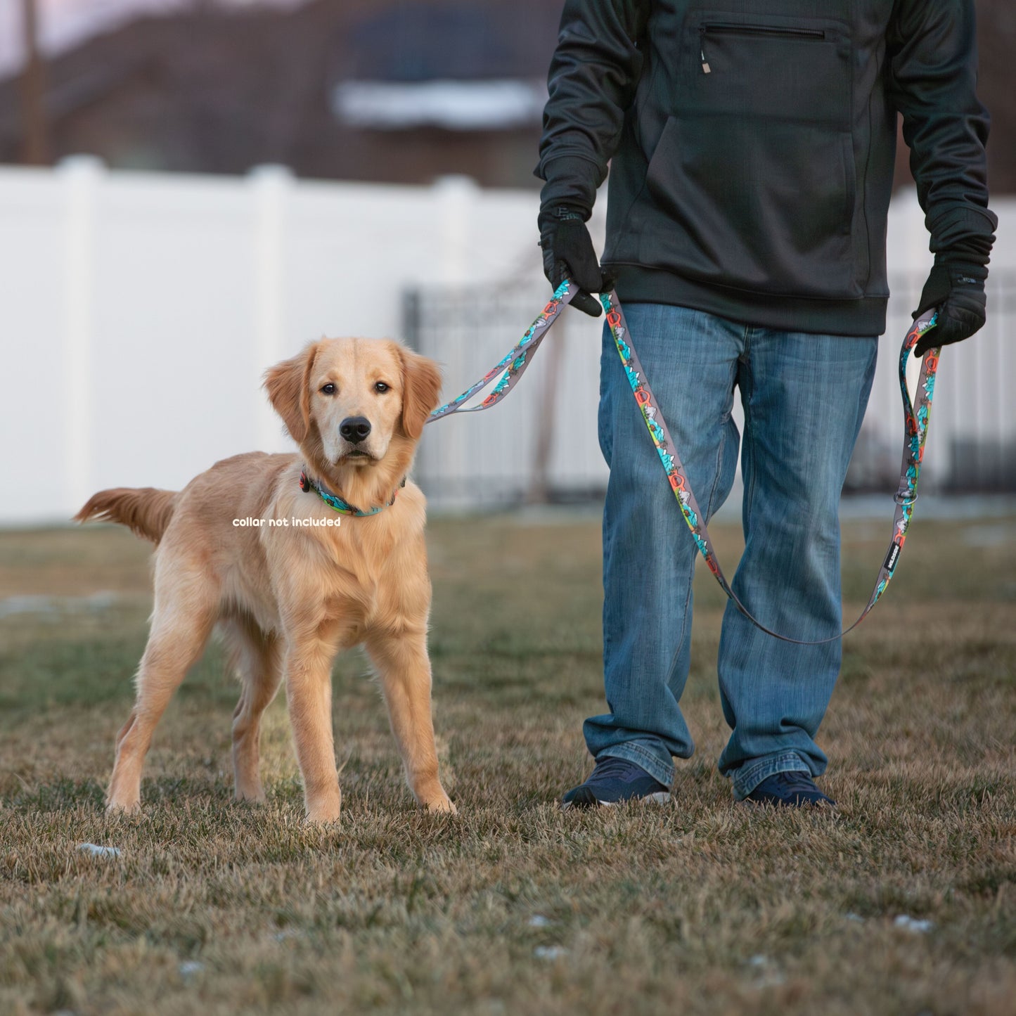 The Great National Parks Dog Leash with Traffic Handle - 6 Ft Rust Proof Adventure Leash