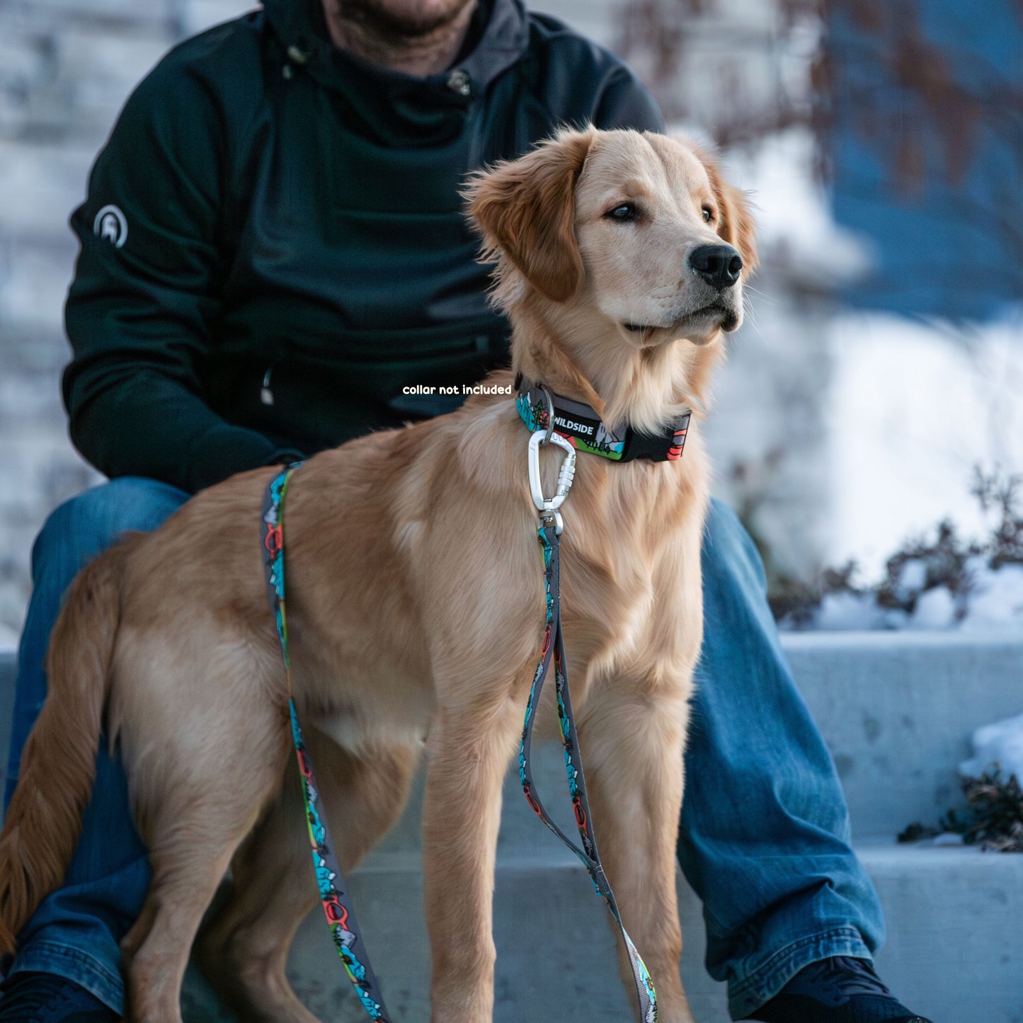 The Great National Parks Dog Leash with Traffic Handle - 6 Ft Rust Proof Adventure Leash