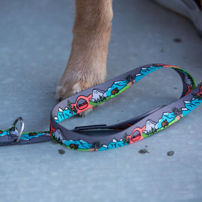 The Great National Parks Dog Leash with Traffic Handle - 6 Ft Rust Proof Adventure Leash