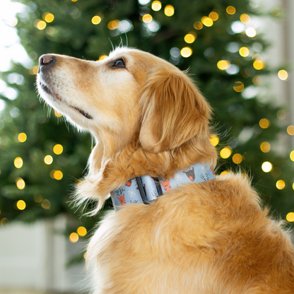 Reindeer Blitz Rust Proof Collar