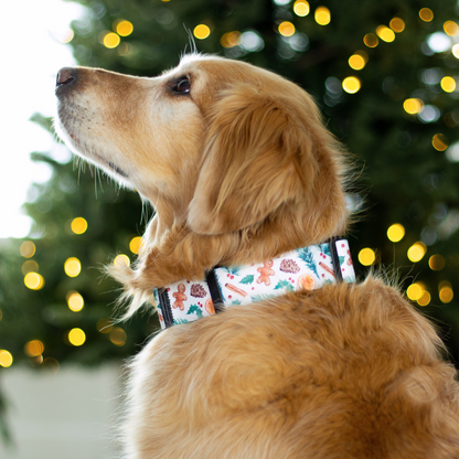 Winter Spice Rust Proof Dog Collar