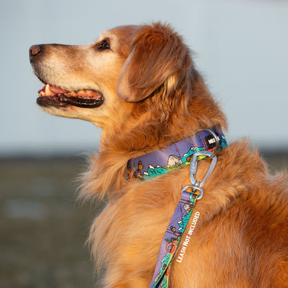 National Barkie Dog Collar - Best Rust Proof Adventure Dog Gear for Hiking