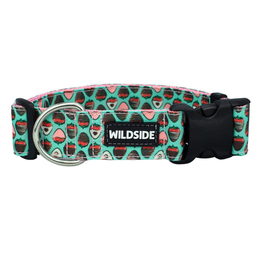 Chocolate Dipped Strawberries Durable Dog Collar