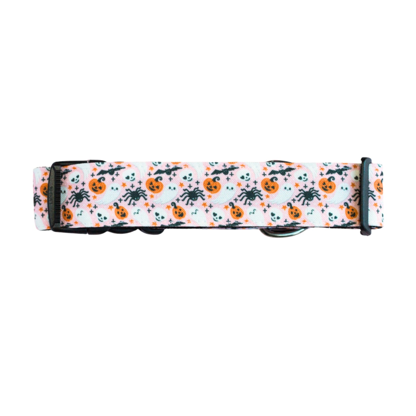 Spooky & Sweet Collar Rust Proof Dog Collar