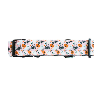 Spooky & Sweet Collar Rust Proof Dog Collar