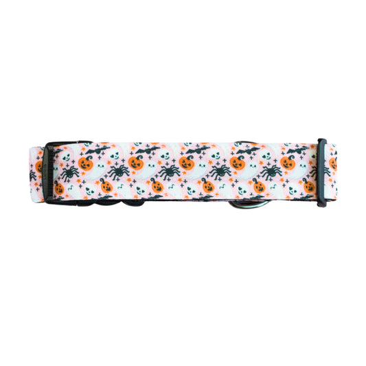 Dog collar with floral pattern on a white background