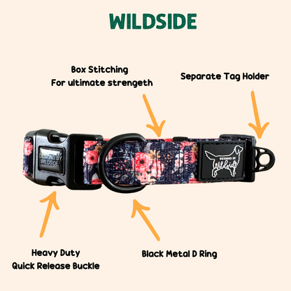 Wild Meadows Padded Comfort Dog Collar