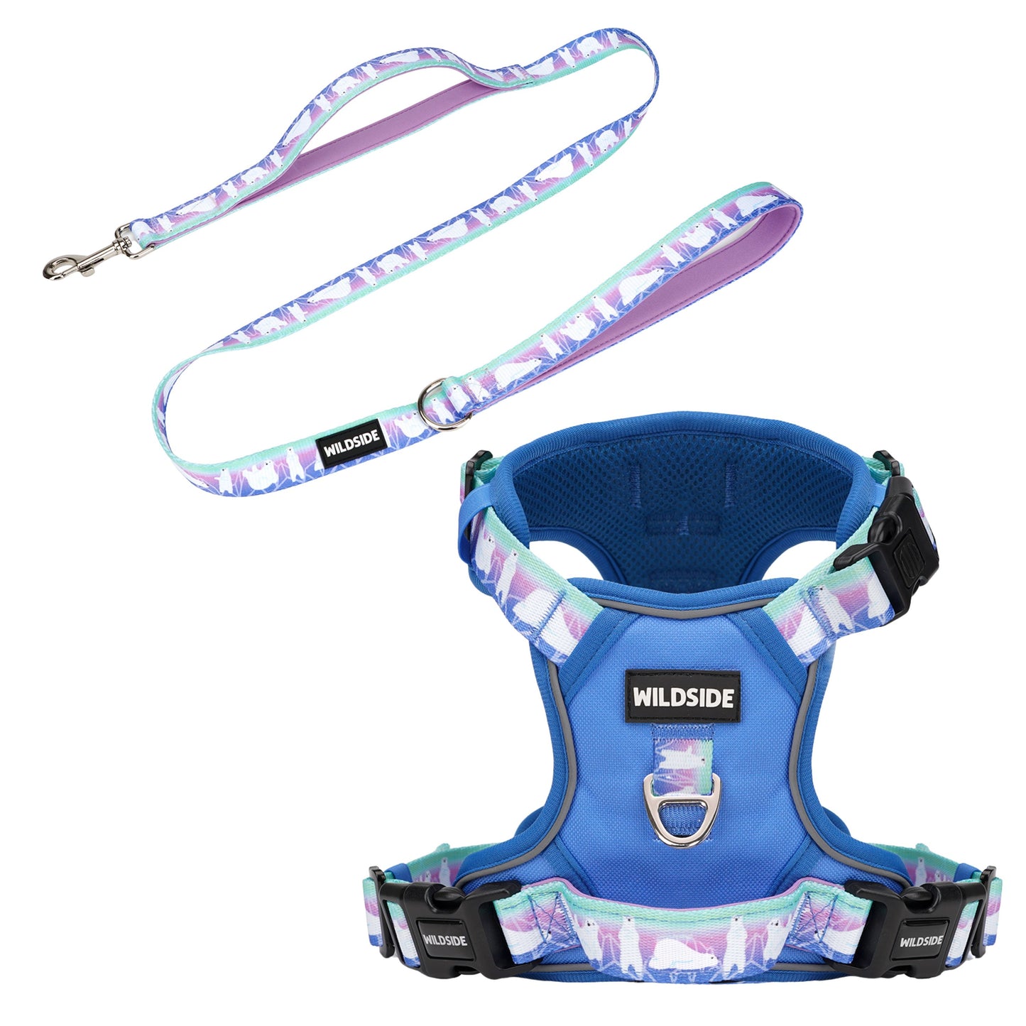Aurora Polar Bear Dog Harness & Leash Set