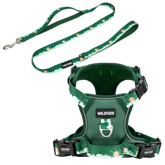 Tahoma Peak Harness & Leash Combo