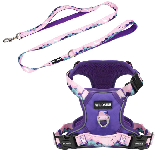 Mt. Milly Dog Durable Harness & Leash Set