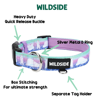 Padded Dog Collar – Aurora Polar Bear