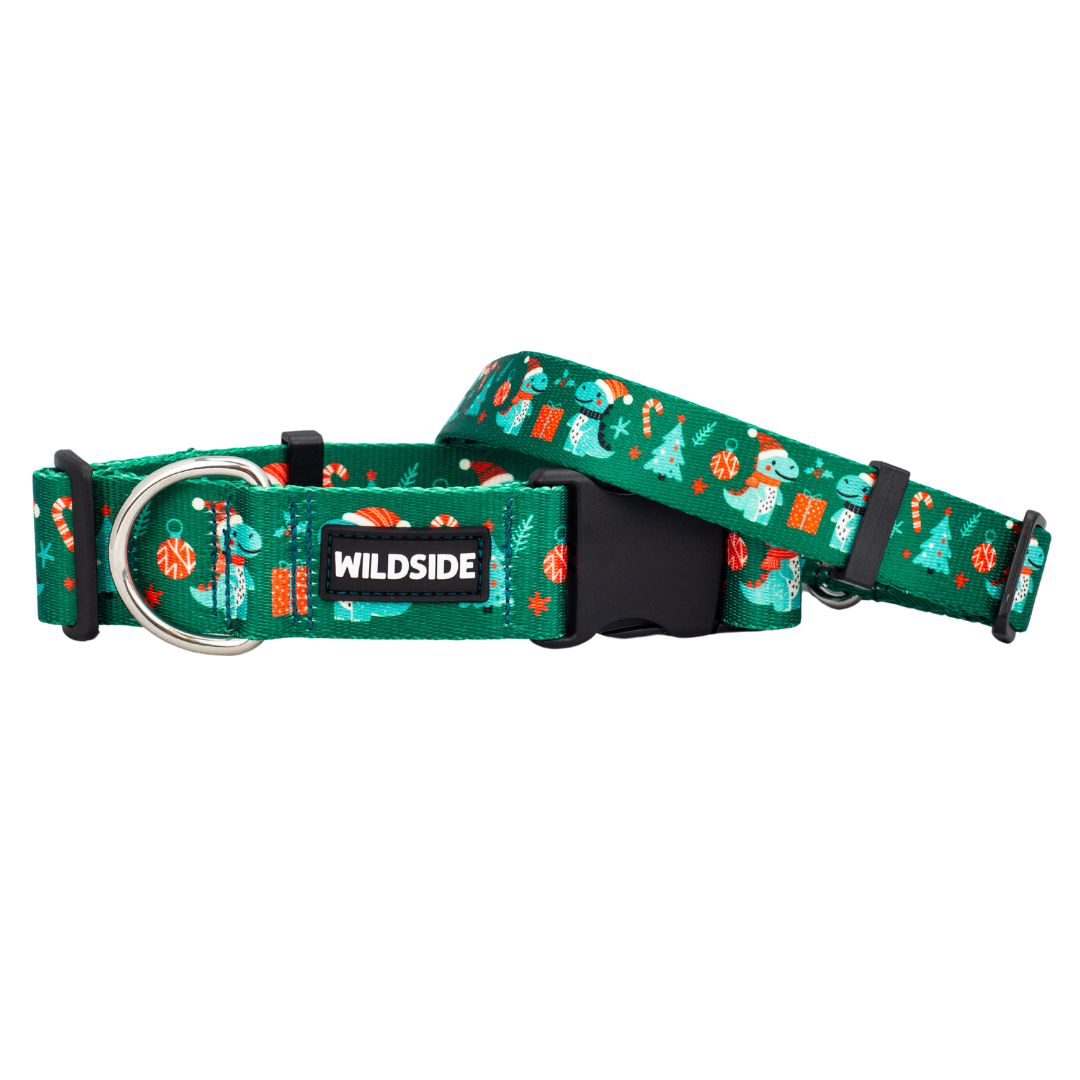 Christmas Dino Holiday Rust Proof Dog Collar
