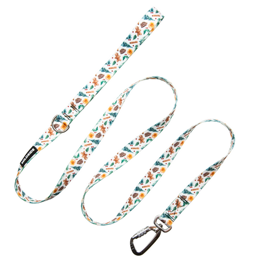 Winter Spice Dog Leash