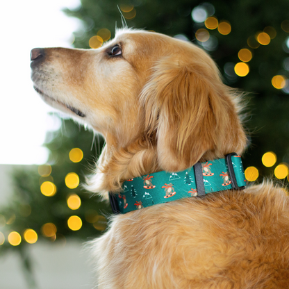 Jibby Bear Rust Proof Dog Collar