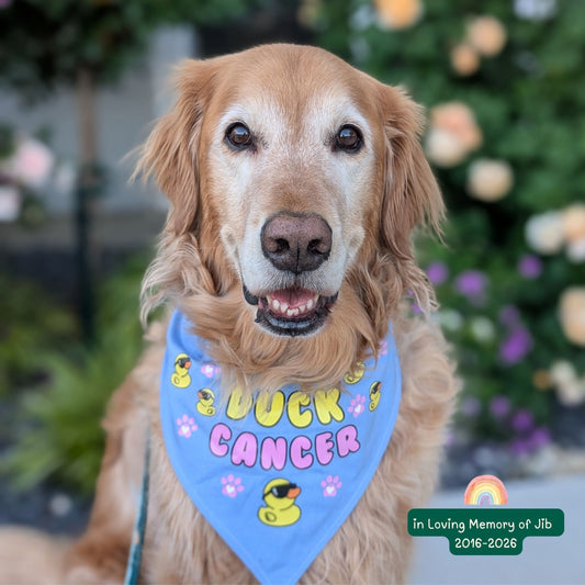 Duck Cancer Dog Bandana- Blue