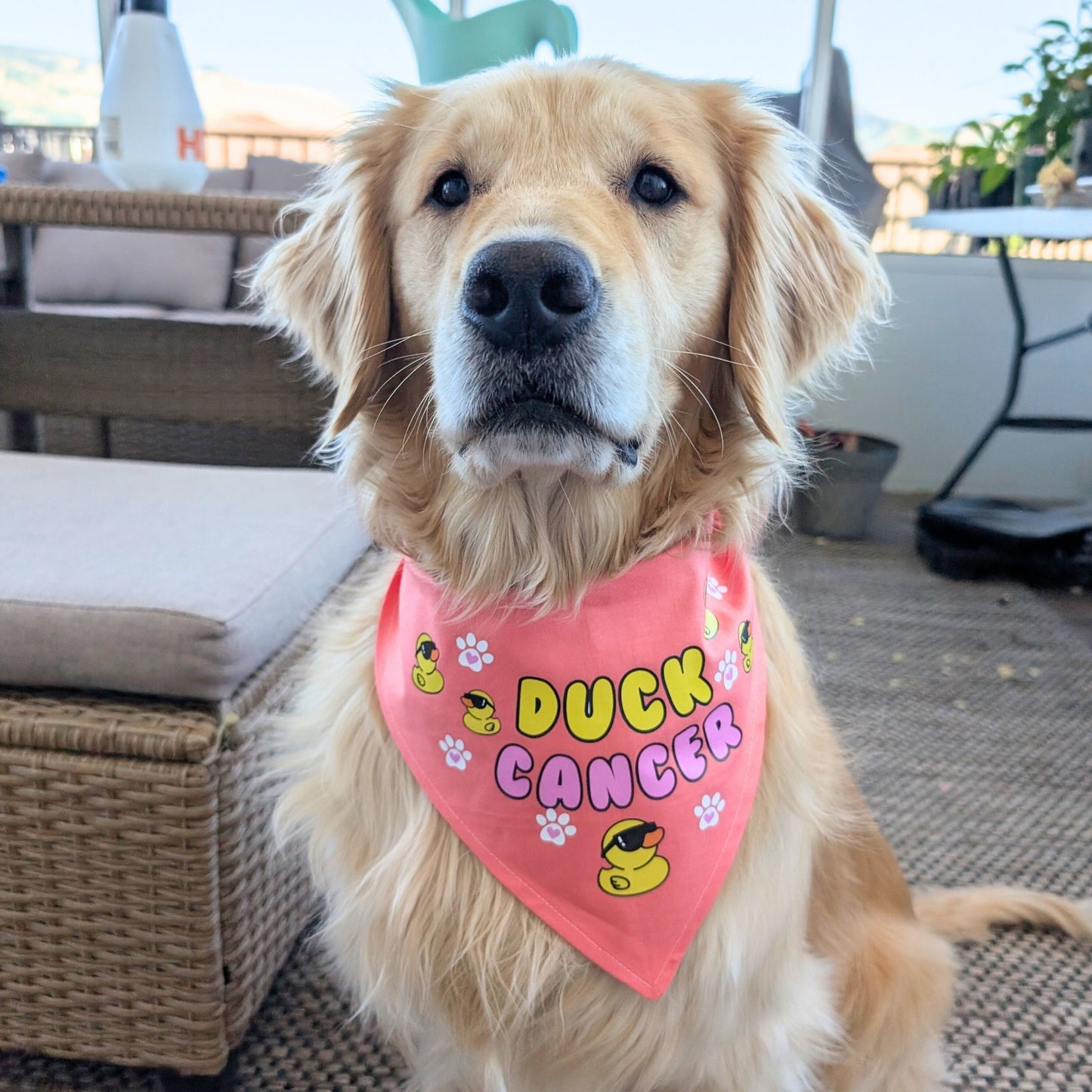 Duck Cancer Dog Bandana- Coral