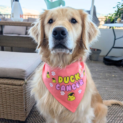 Duck Cancer Dog Bandana- Coral