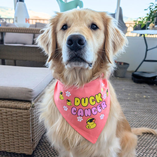 Duck Cancer Dog Bandana- Coral