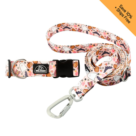 Cutie Pie Ghost Dog Collar + Leash Set — Adventure-Proof