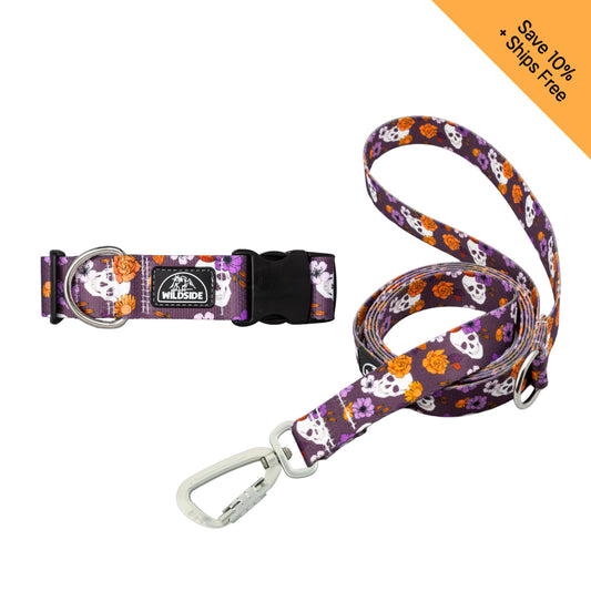 Skully Gardens Dog Collar + Leash Set — Adventure-Proof