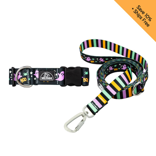 Too Cute To Spook Dog Collar + Leash Set — Adventure-Proof