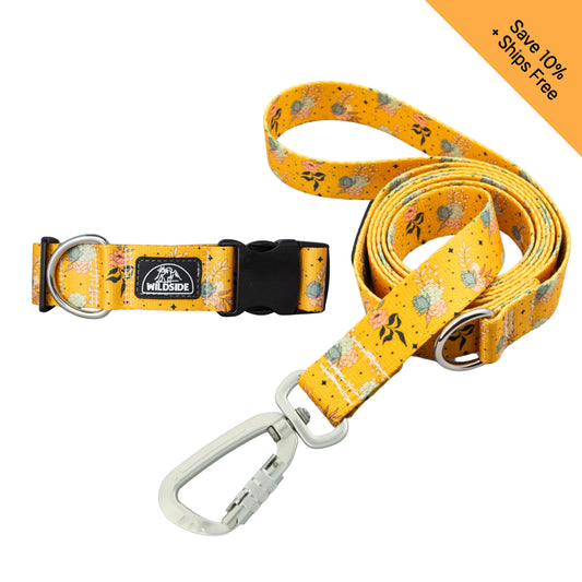 Golden Hour Dog Collar + Leash Set — Adventure-Proof