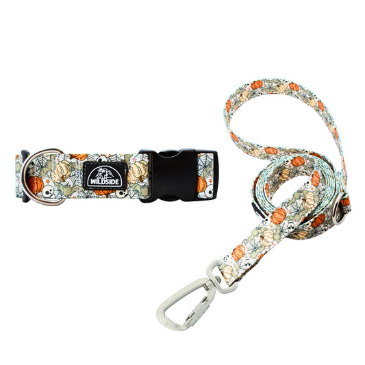 Creepin’ It Real Dog Collar + Leash Set – Spooky-Cute, Rust-Proof & Adventure-Ready