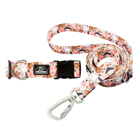 Cutie Pie Ghost Dog Collar + Leash Set — Adventure-Proof