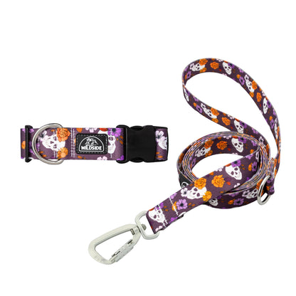 Skully Gardens Dog Collar + Leash Set — Adventure-Proof