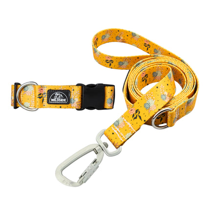 Golden Hour Dog Collar + Leash Set — Adventure-Proof