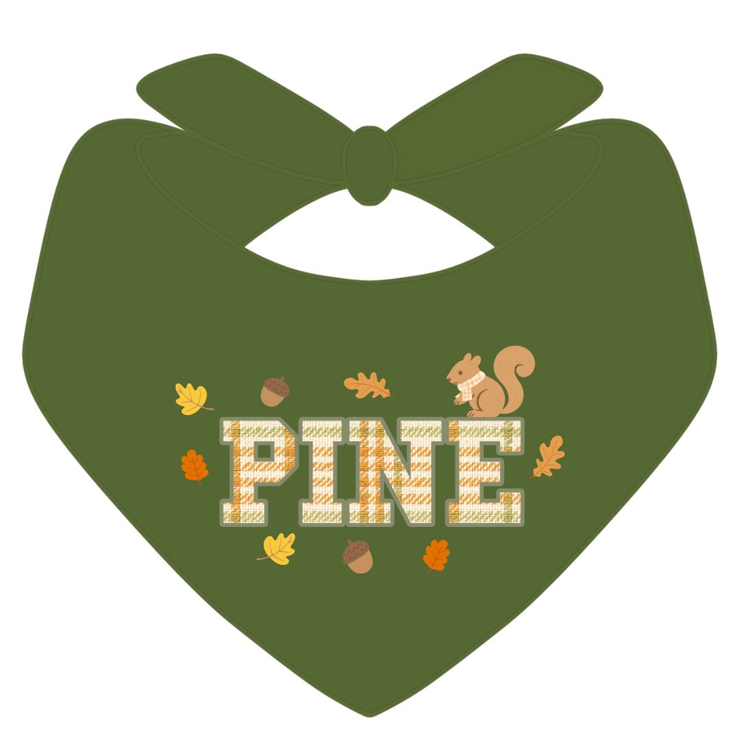 Fall Plaid Dog Bandana – Personalized Autumn Dog Bandana with Custom Name, Boy Version