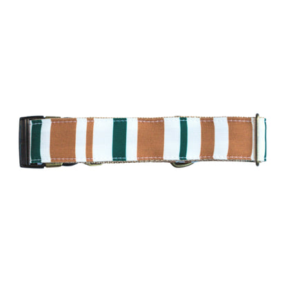Canyons Rust Proof Dog Collar