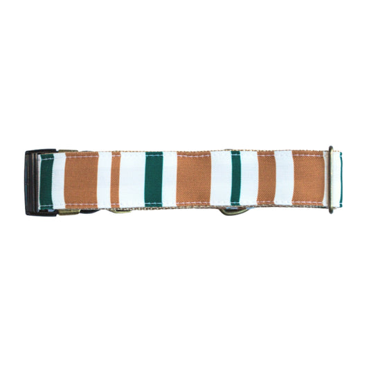 Canyons Rust Proof Dog Collar