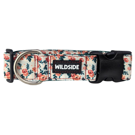 Autumn Rose Rust Proof Dog Collar