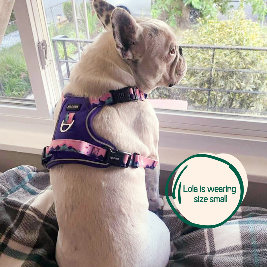 Adjustable Dog Harness with Handle – Wildside Dog Gear