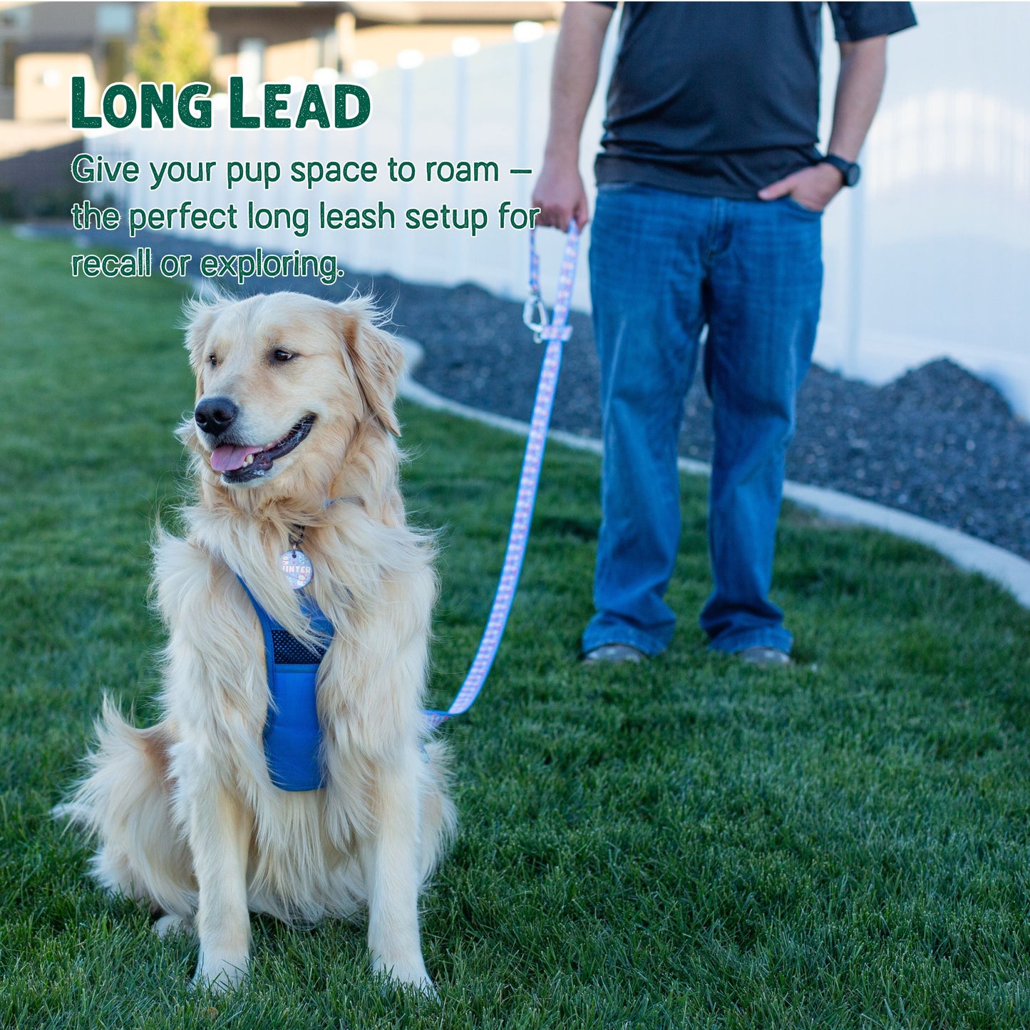 Cutesy Snowman Hands-Free Body Leash for Dogs — Lightweight, Adventure-Proof & Adjustable Holiday Dog Leash