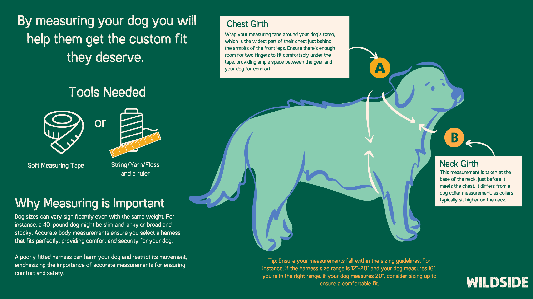 How to Measure Your Dog for a Harness 3 Easy Steps Wildside Dog Gear