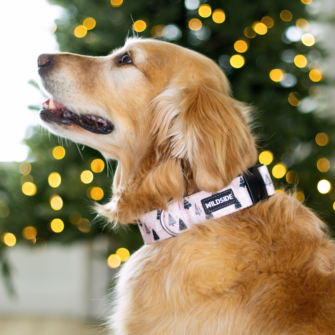 Pink Christmas Wonderland Rust Proof Collar