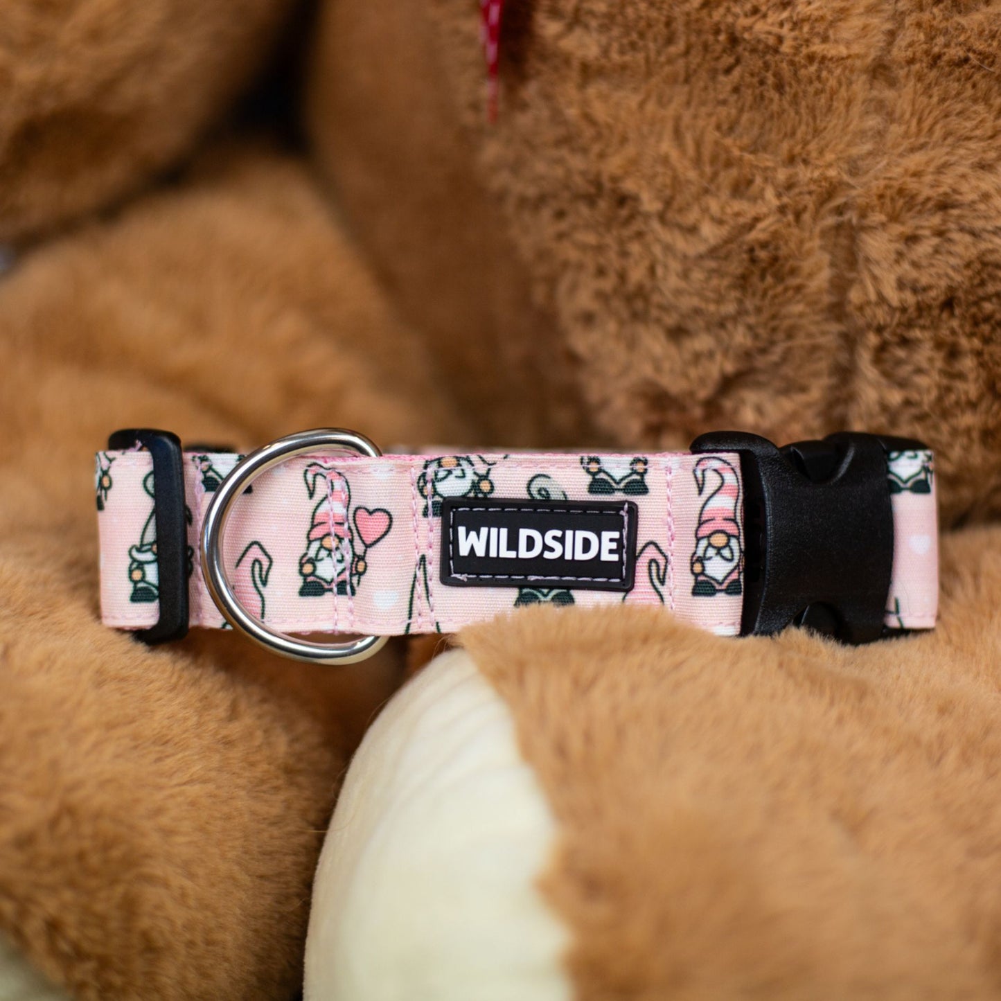 Be My Gnome this Durable Dog Collar