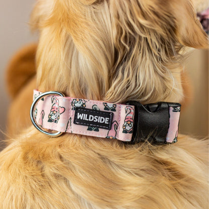 Be My Gnome this Durable Dog Collar