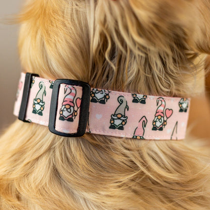 Be My Gnome this Durable Dog Collar
