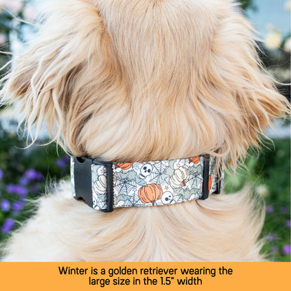 Dog wearing a Halloween-themed collar with pumpkins and ghosts, standing outdoors.