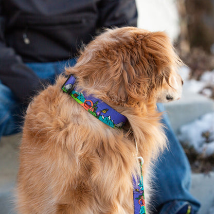 National Barkie Dog Collar - Best Rust Proof Adventure Dog Gear for Hiking