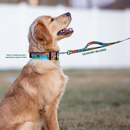 The Great National Parks Rust Proof Dog Collar