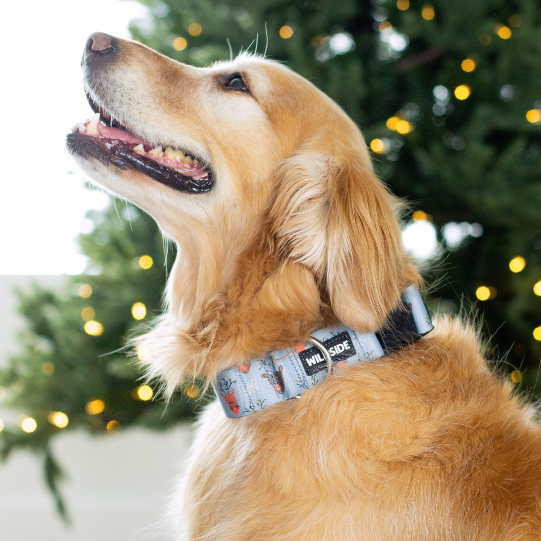 Reindeer Blitz Rust Proof Collar