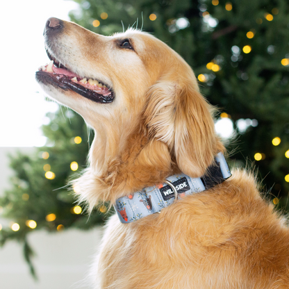 Reindeer Blitz Rust Proof Collar